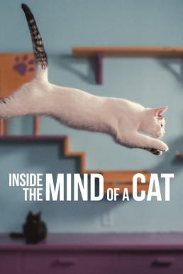 Inside the Mind of a Cat (2022) NETFLIX